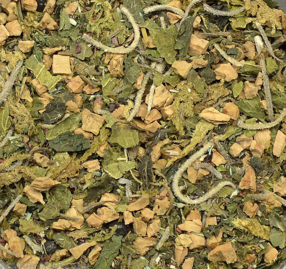 DET08RIS Jungle Forest  - detailed scatter for groundwork, 80ml