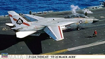 00955 Самолет F-14A  VF41 BLAK ACES