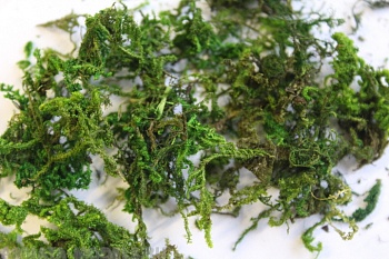 35022 Растительность (декор.)